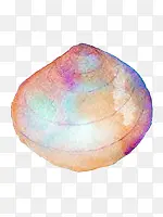 手绘水彩彩色贝壳