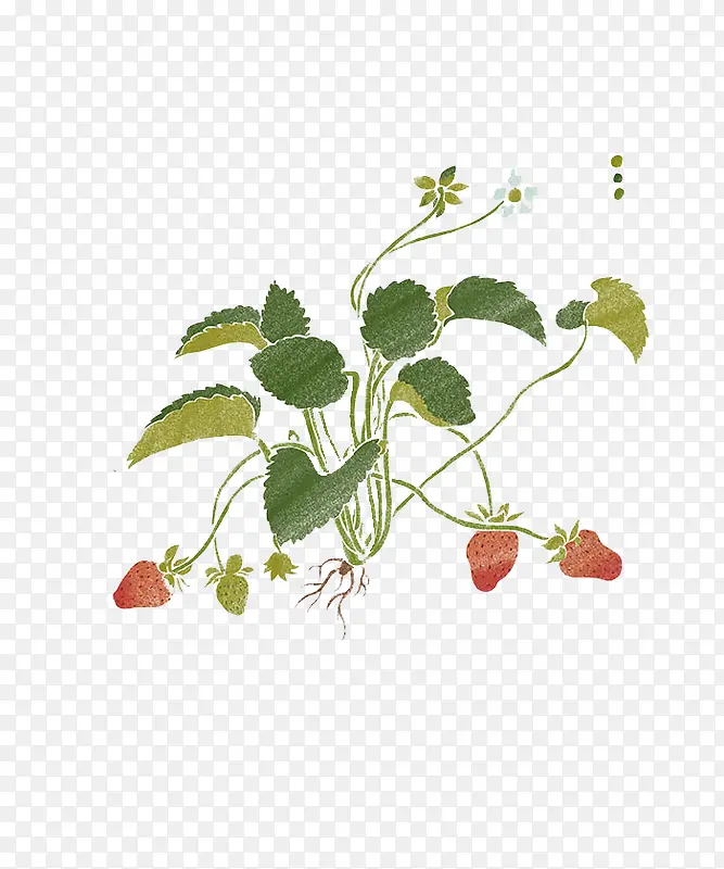 手绘中国风草莓