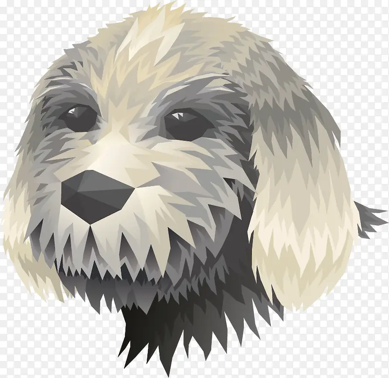 可爱的小型犬素材