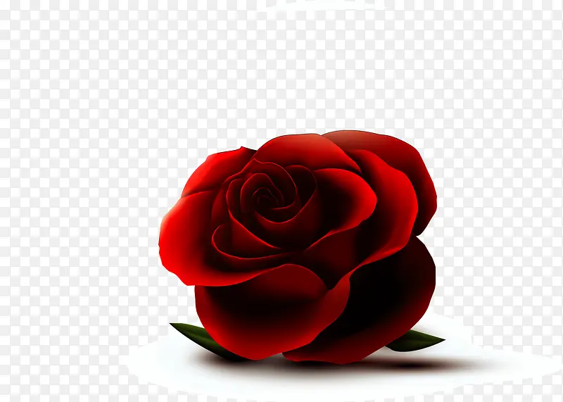 质感红玫瑰花矢量素材
