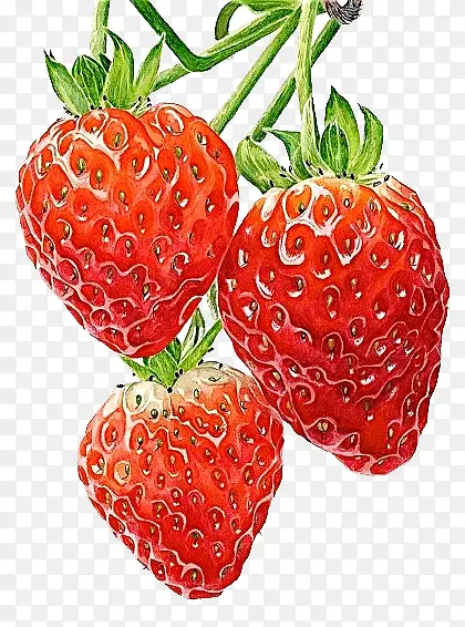 草莓