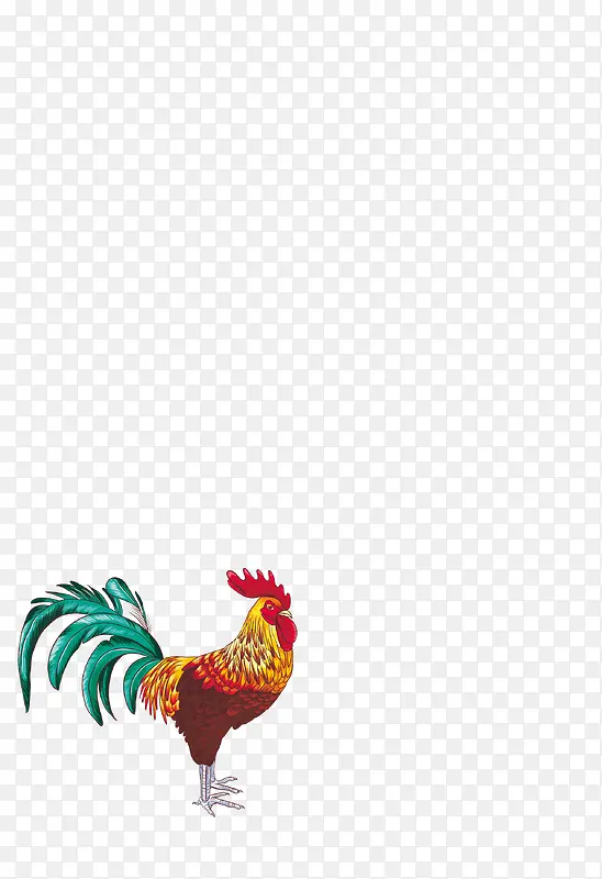 手绘公鸡