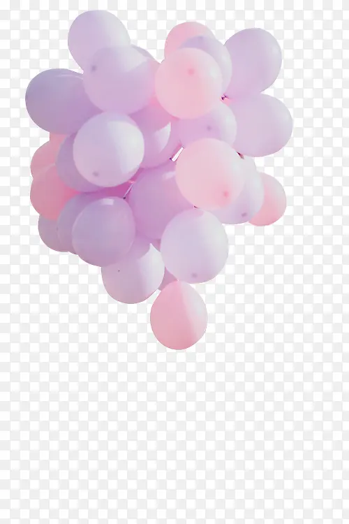 高清摄影粉色紫色的气球