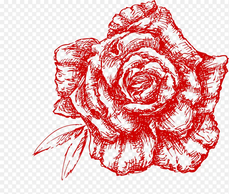 素描红色玫瑰