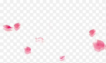 粉色花瓣透明背景