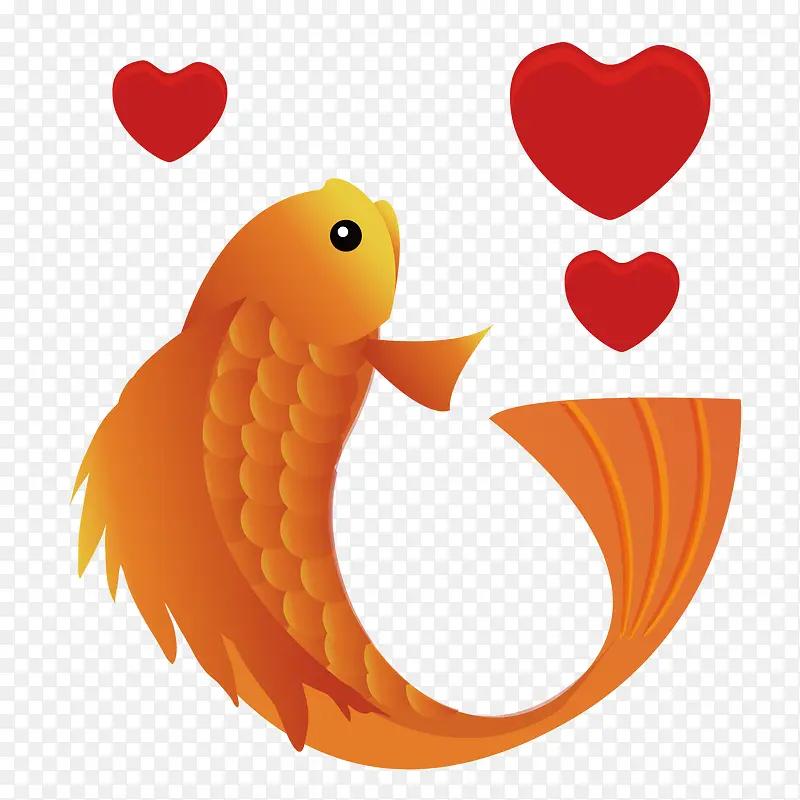 情人节鲤鱼和红色的爱心