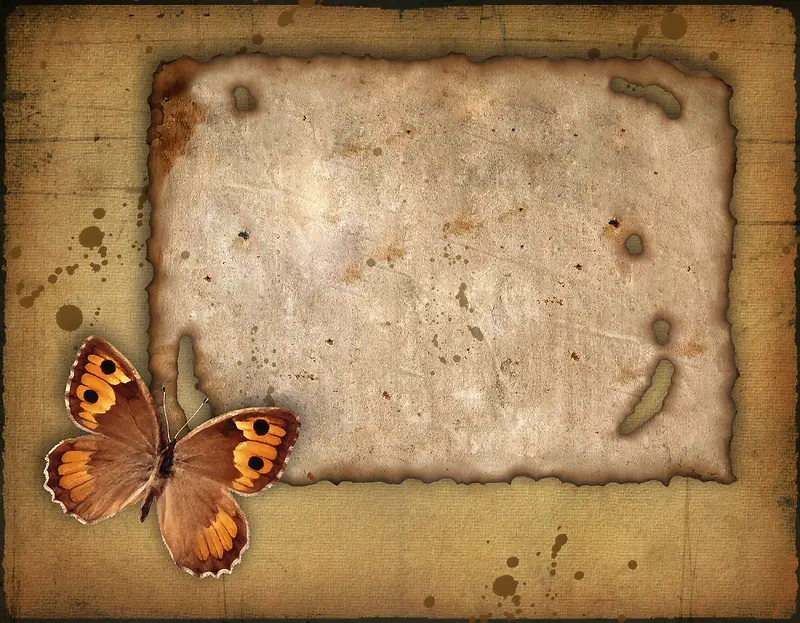 羊皮纸背景与蝴蝶