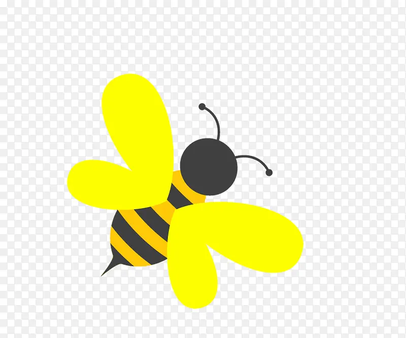 黄色的小蜜蜂
