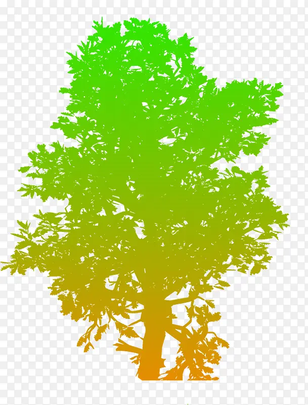 彩色渐变轮廓树
