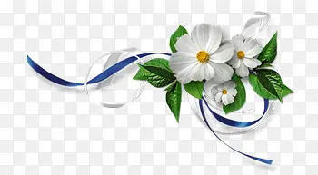 白色花朵蓝色飘带装饰