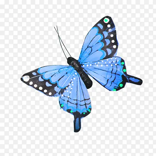 卡通手绘蓝色的蝴蝶