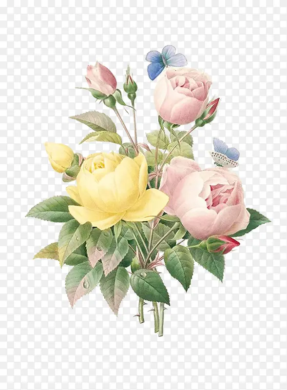 玫瑰花