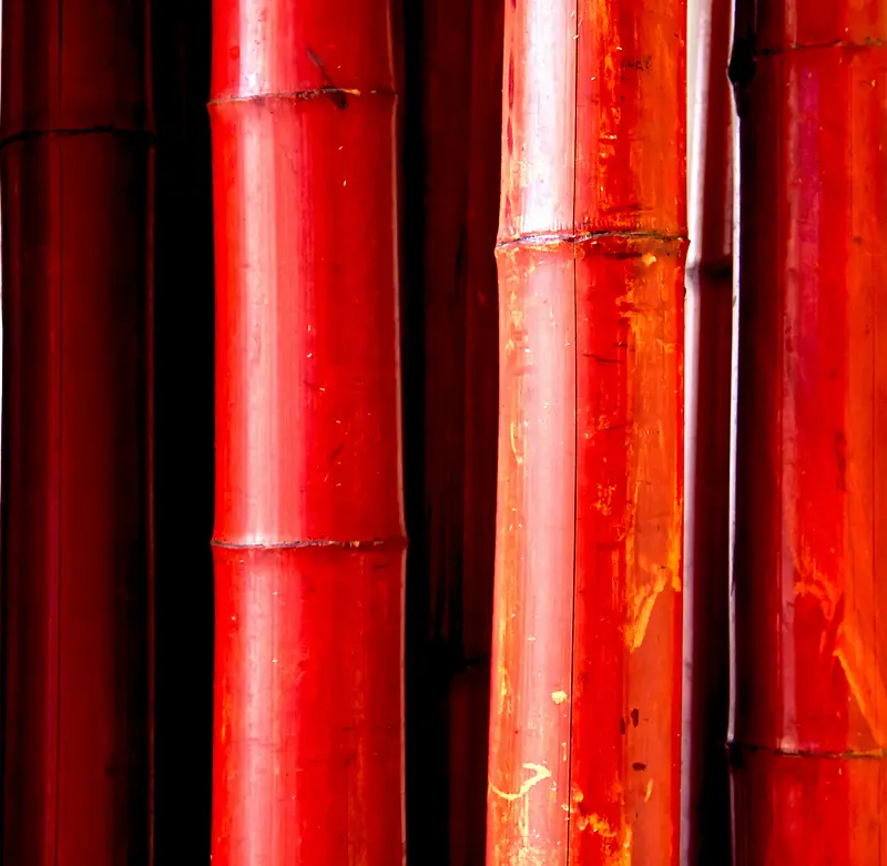 刷红漆的竹子