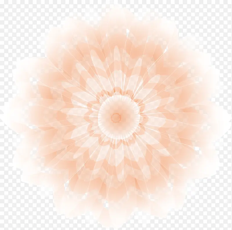 创意花纹矢量图