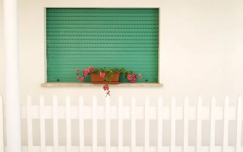 背景墙绿色窗台盆栽背景高清素材