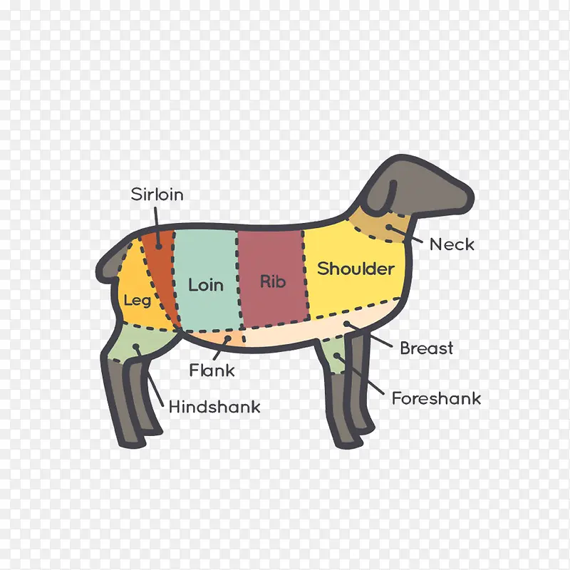 羊肉部位分割图