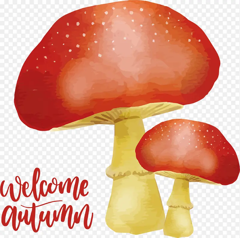 迎接秋天的蘑菇