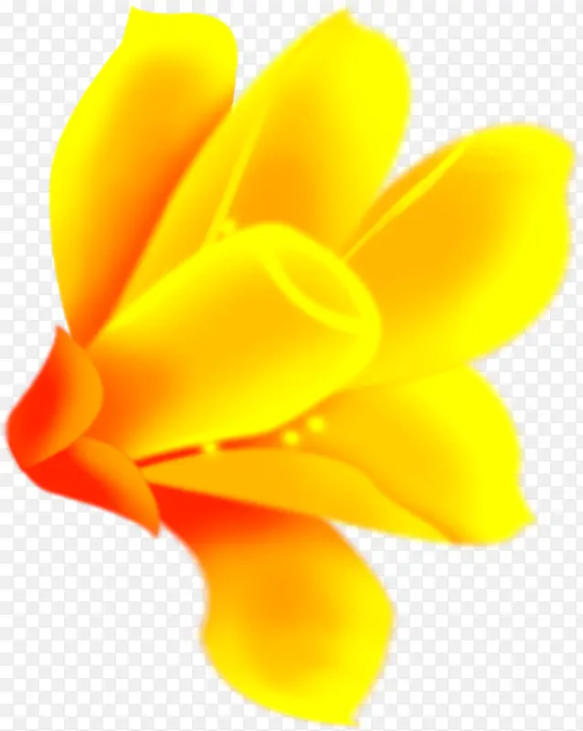 黄色花卉十字绣图片