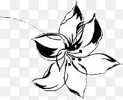 花卉