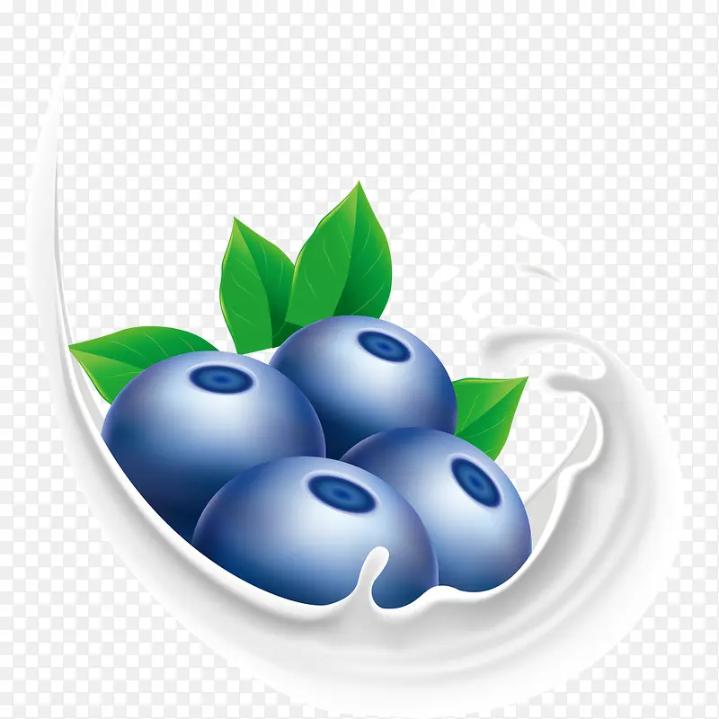 蓝莓和牛奶矢量