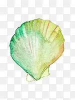 手绘绿色贝壳水彩