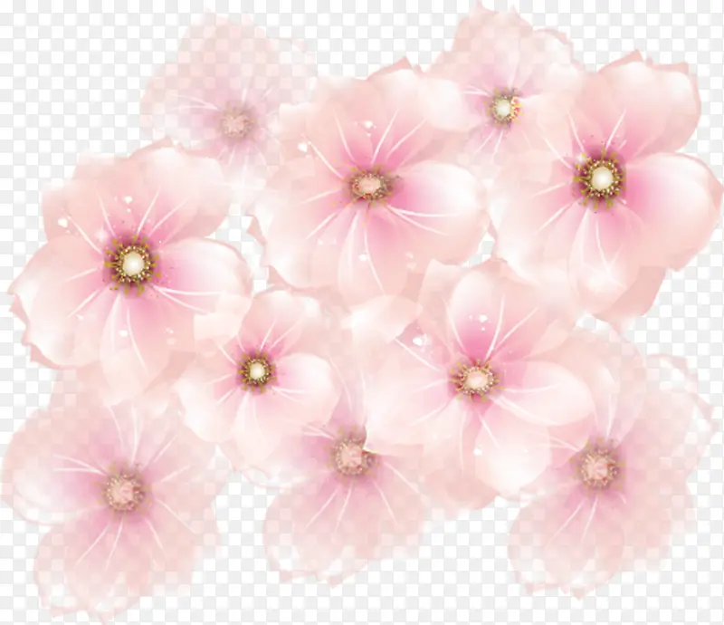 一丛粉色小花