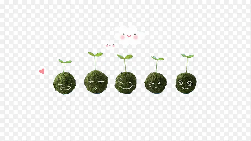 新生的植物
