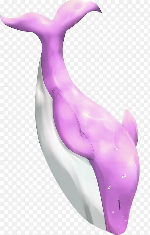 紫色卡通鲸鱼装饰图案