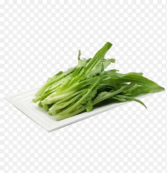 油麦菜图片素材