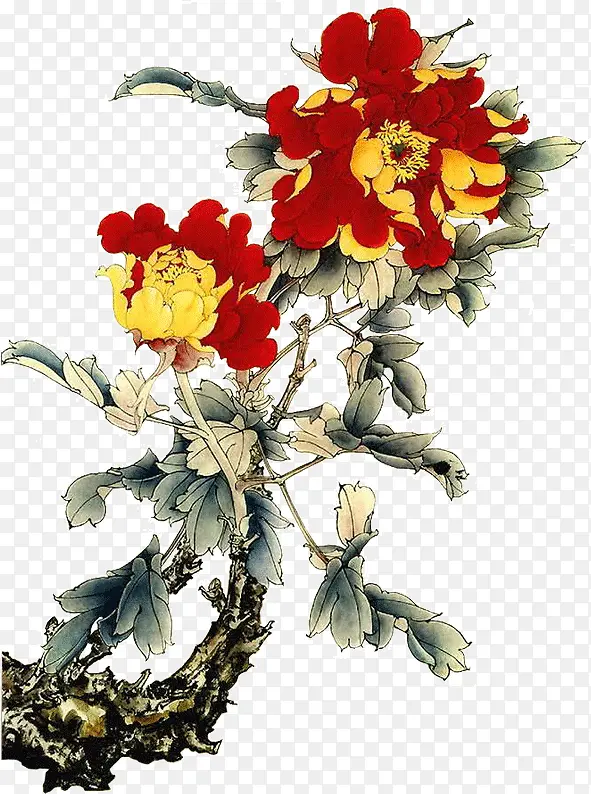 红色的富贵牡丹花