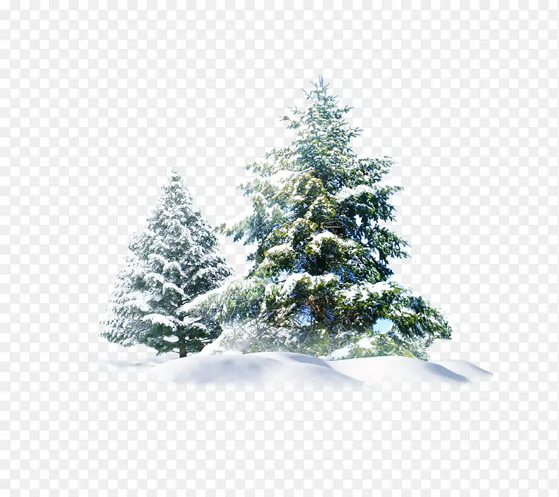 创意手绘合成圣诞树造型效果雪地