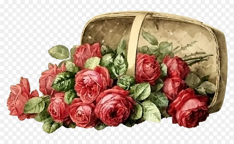 古典手绘花卉
