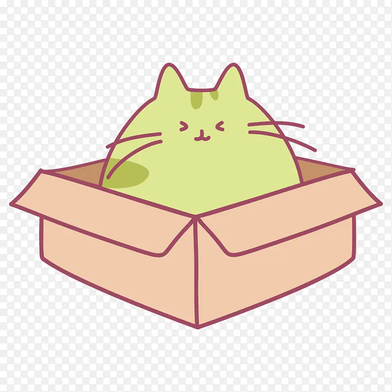 箱子里的猫咪