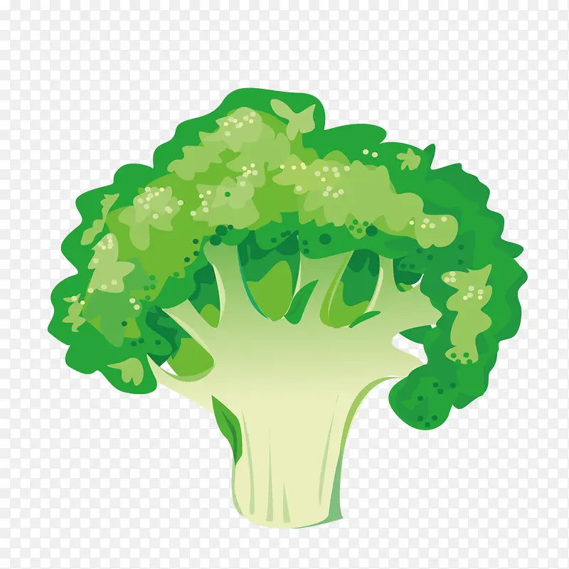 蔬菜西兰花