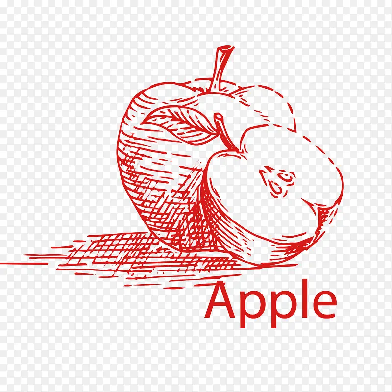 素描水果苹果