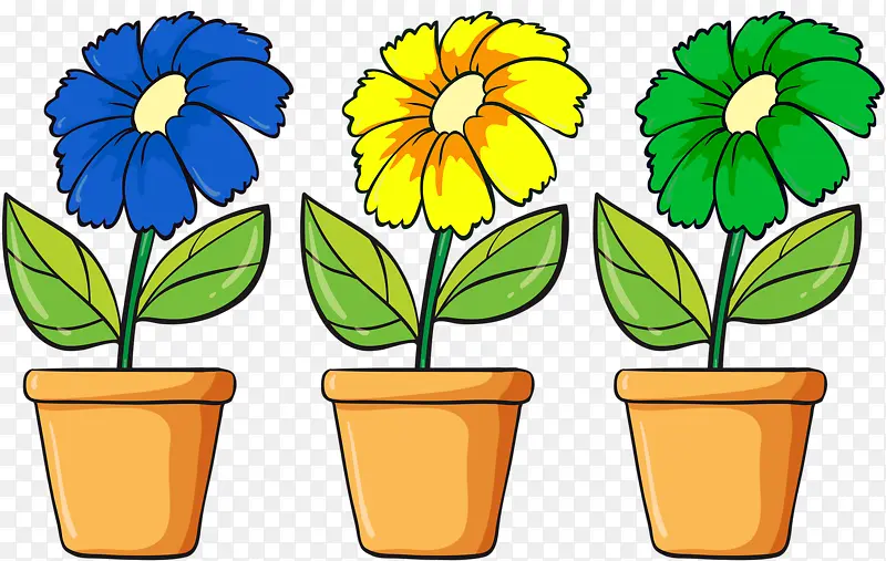 三种颜色向日葵