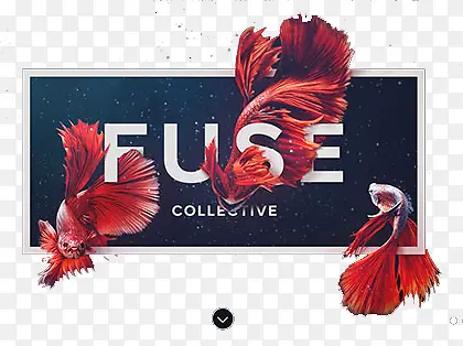 FUSE艺术字