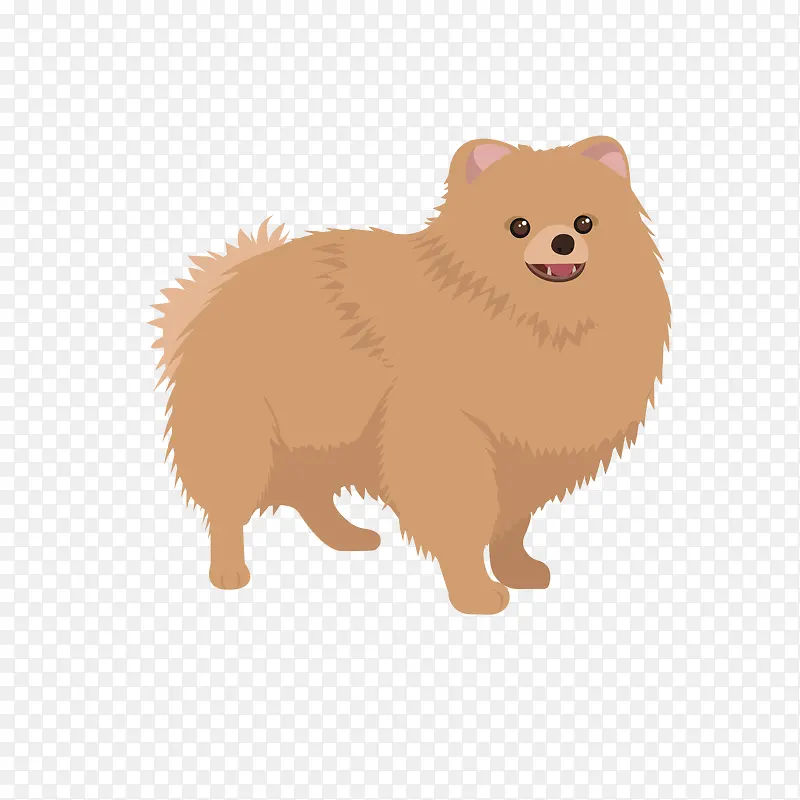 可爱的松狮犬免抠素材