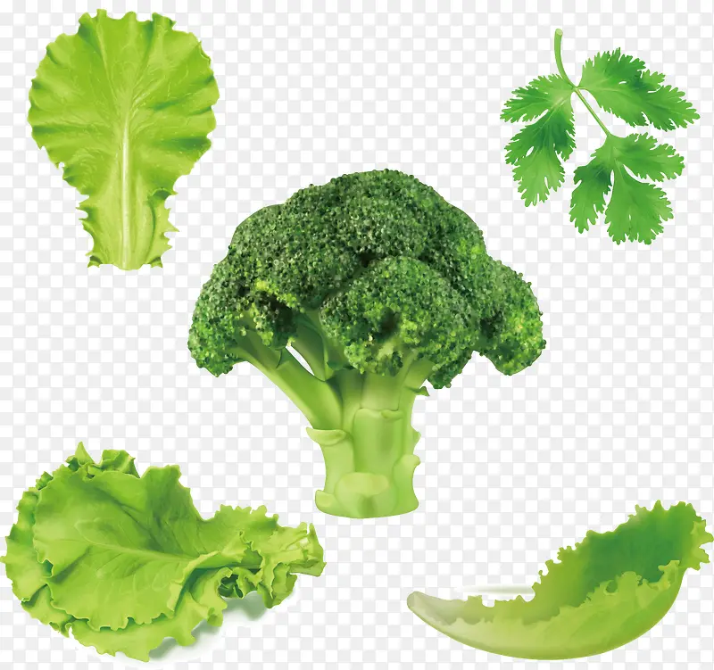 健康绿色蔬菜大全