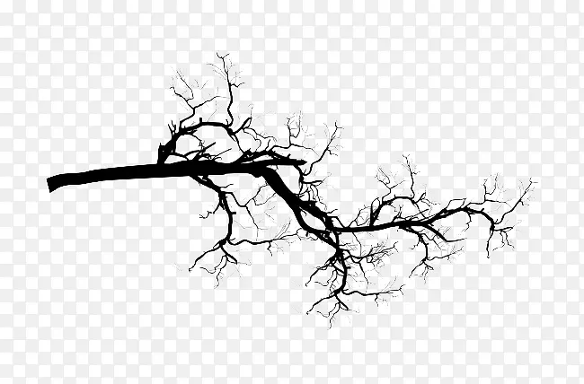 死树枝形裂纹