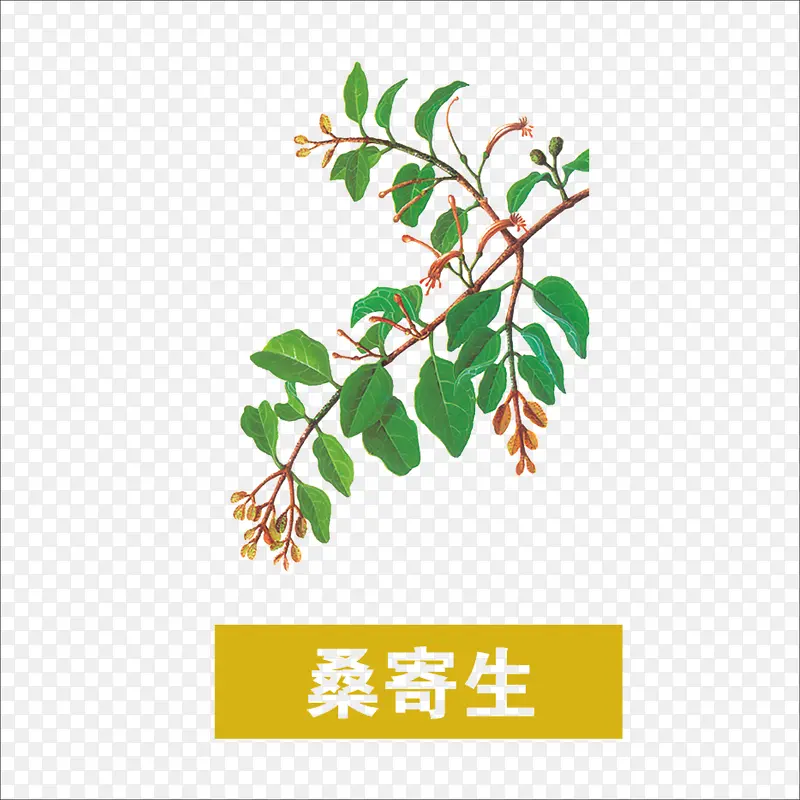 草药