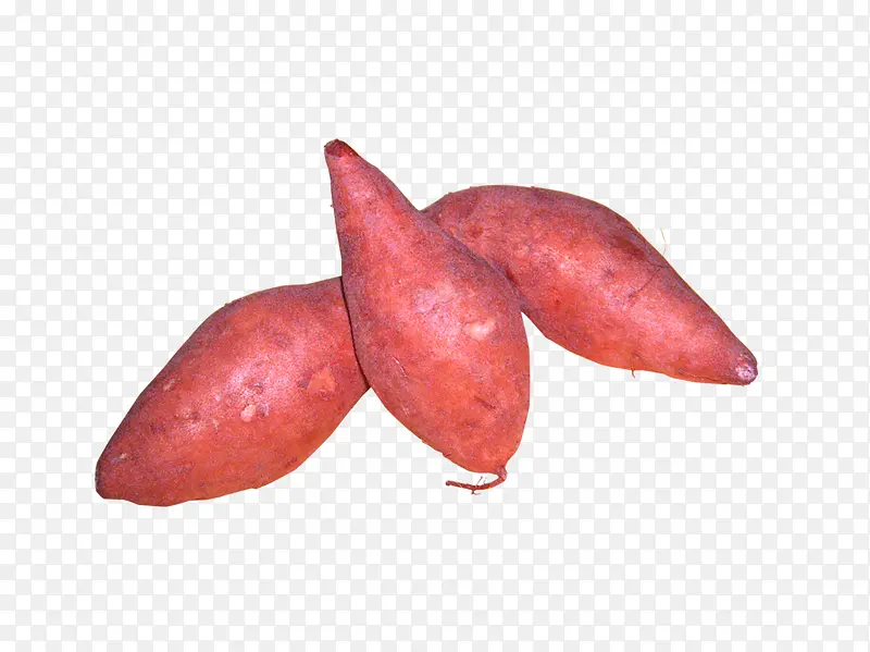 冬天红薯