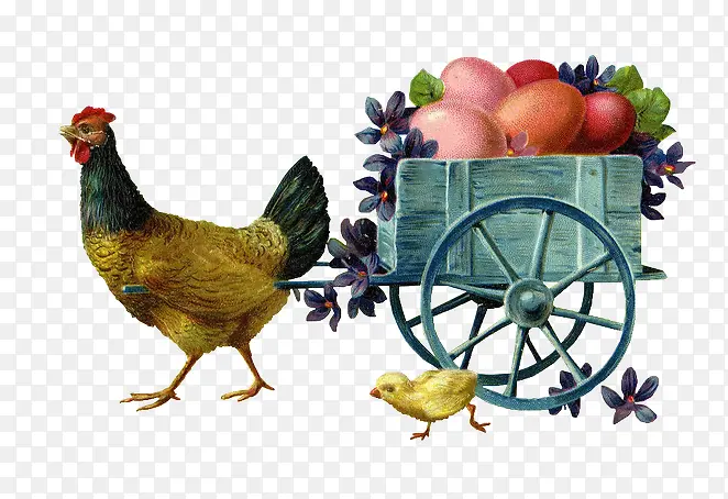 小鸡和一车水果