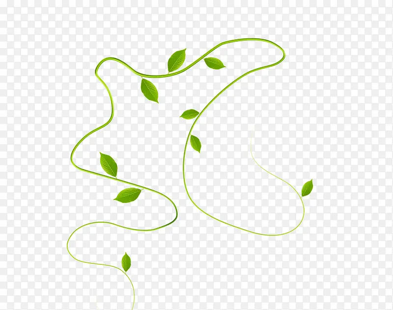 装饰图案弯曲绿色树藤