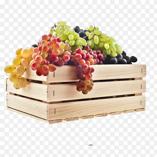 葡萄水果模型