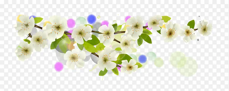 白色杏花