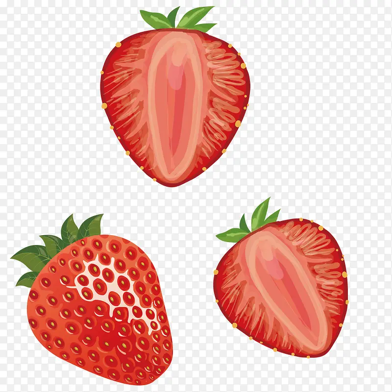 矢量红色草莓水果食物
