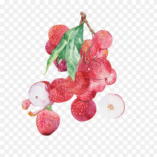 荔枝手绘画素材图片
