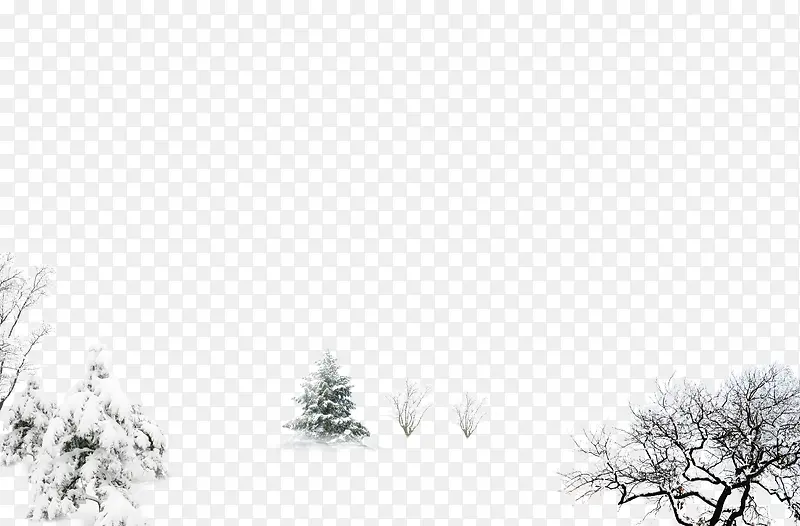 雪地中的树木