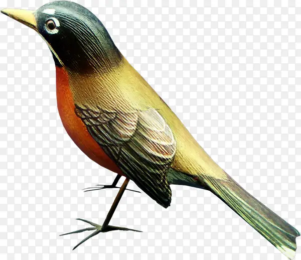 彩色木雕小鸟素材
